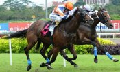 Darien Gap (Alan Munro) was one of four winners for trainer Steven Burridge last weekend.<br>Photo by Singapore Turf Club